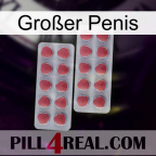 Großer Penis 19